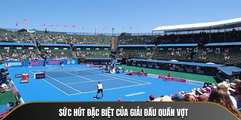 Sức hút không thể cưỡng lại của các trận đấu